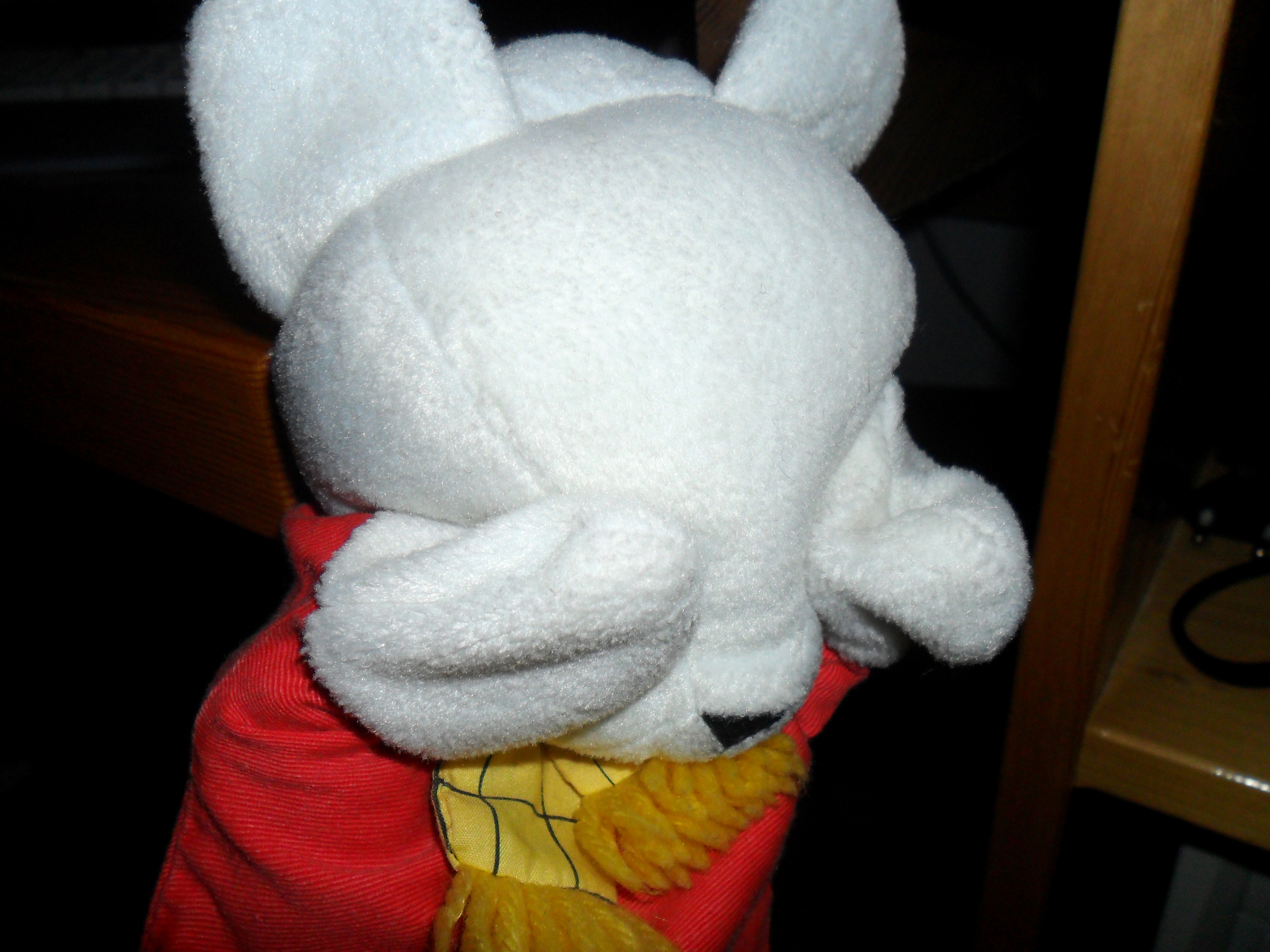 SAM_0028
