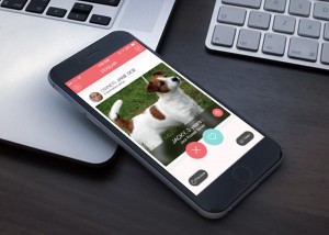 Doglar_app_preview